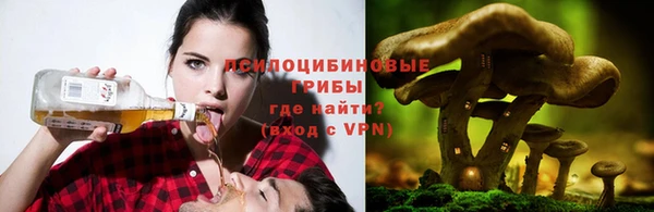 трава Балахна