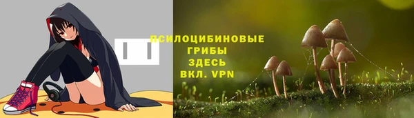 кокс Баксан