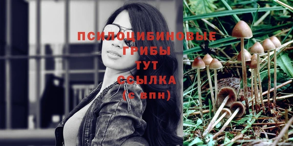 стафф Армянск