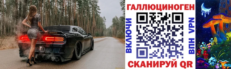 Купить  Севск  Псилоцибиновые грибы Psilocybe 